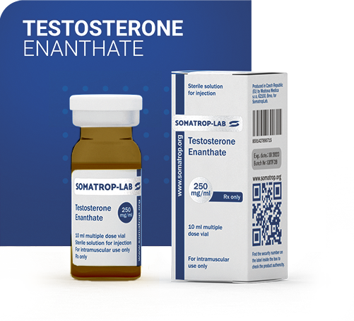 Тестостерон Енантат 250 мг/ мл Соматроп-Лаб (Testosterone Enanthate Somatrop-Lab)